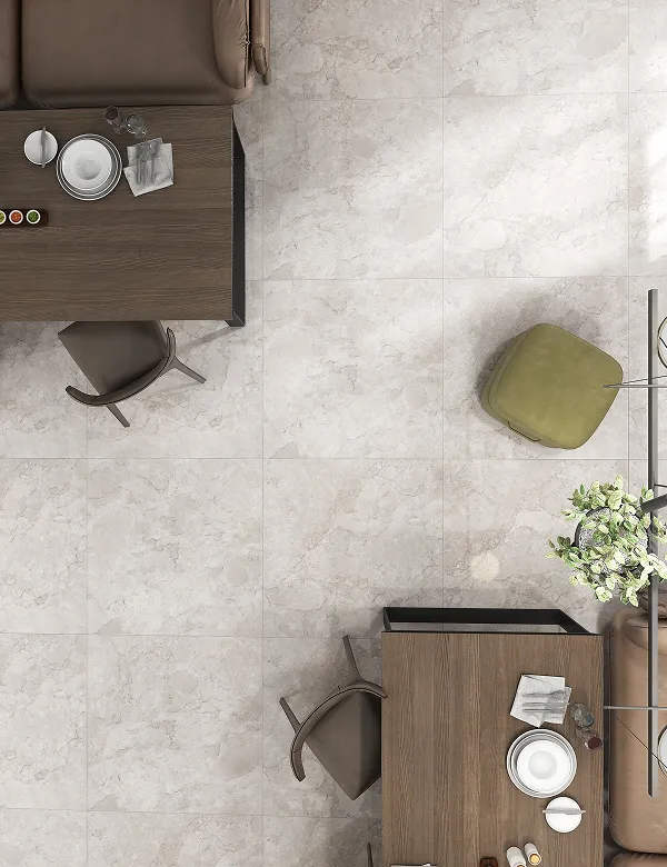 Leopard Vitrified surfaces in a contemporary living room