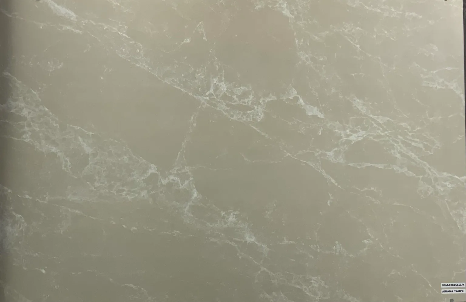 ARIANA TAUPE In a room