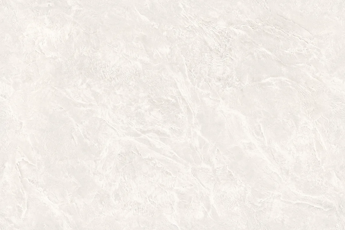 ALBERO BIANCO Design