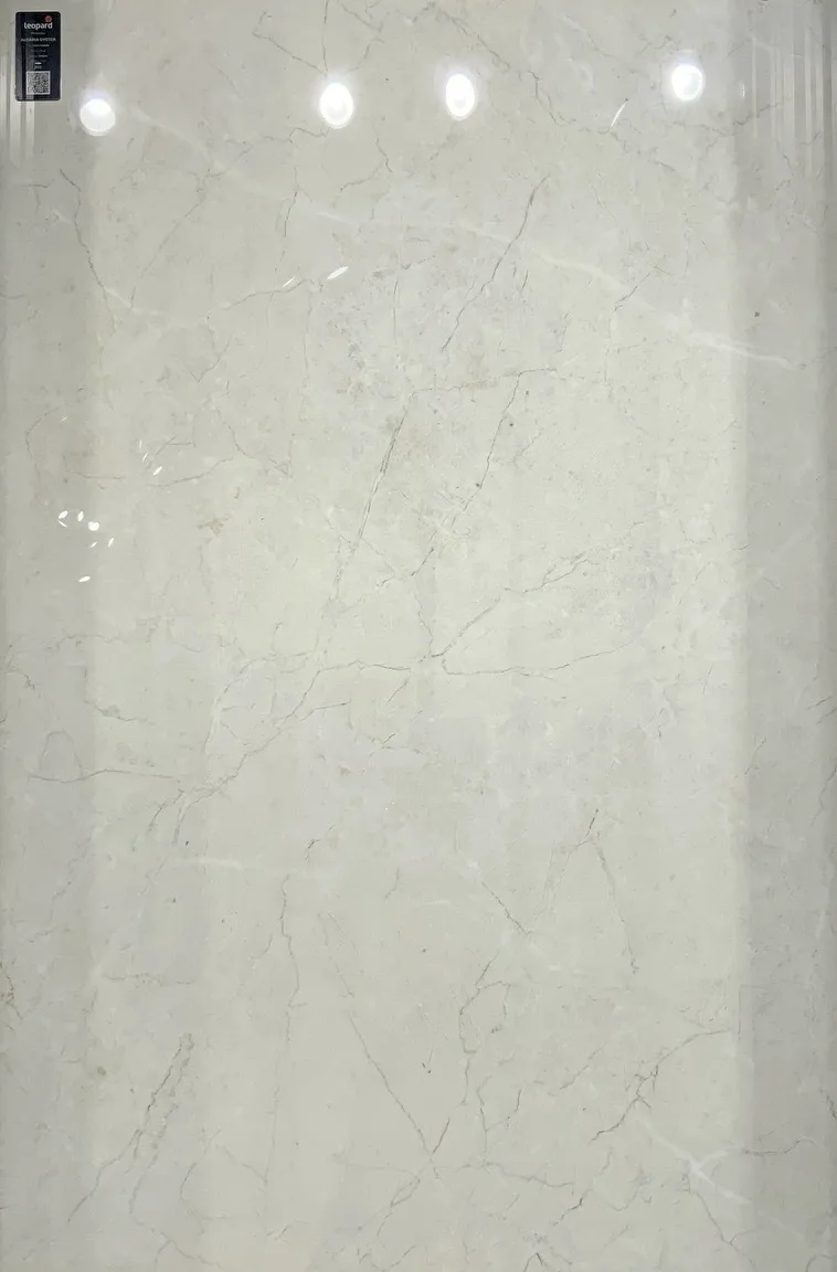 ALGARIA OYSTER In a room