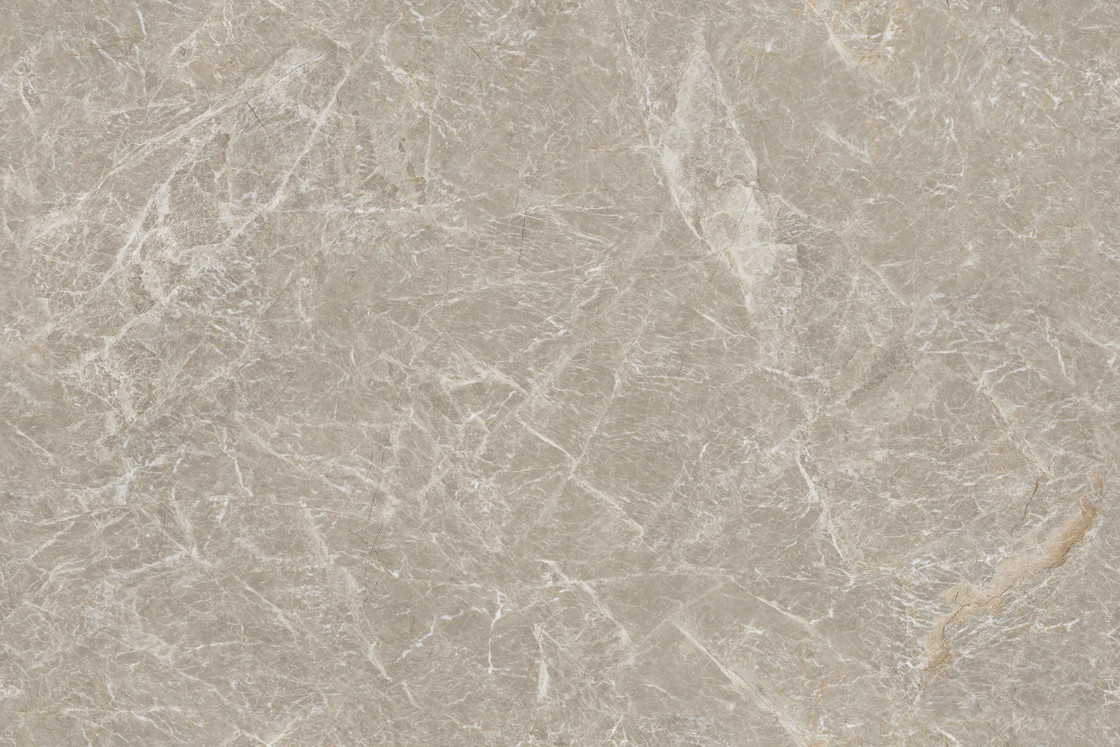 ANTICO TAN Design