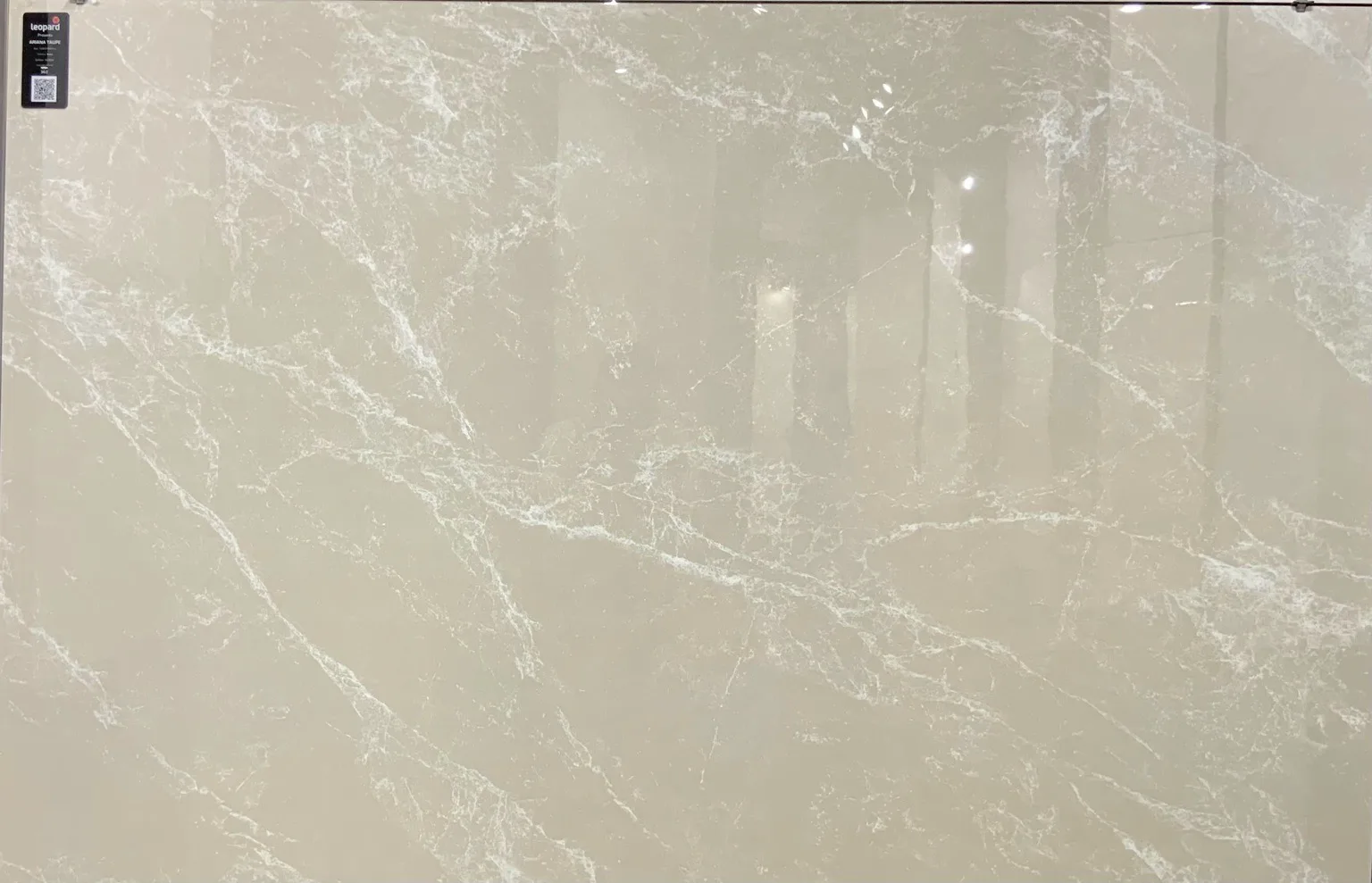 ARIANA TAUPE In a room