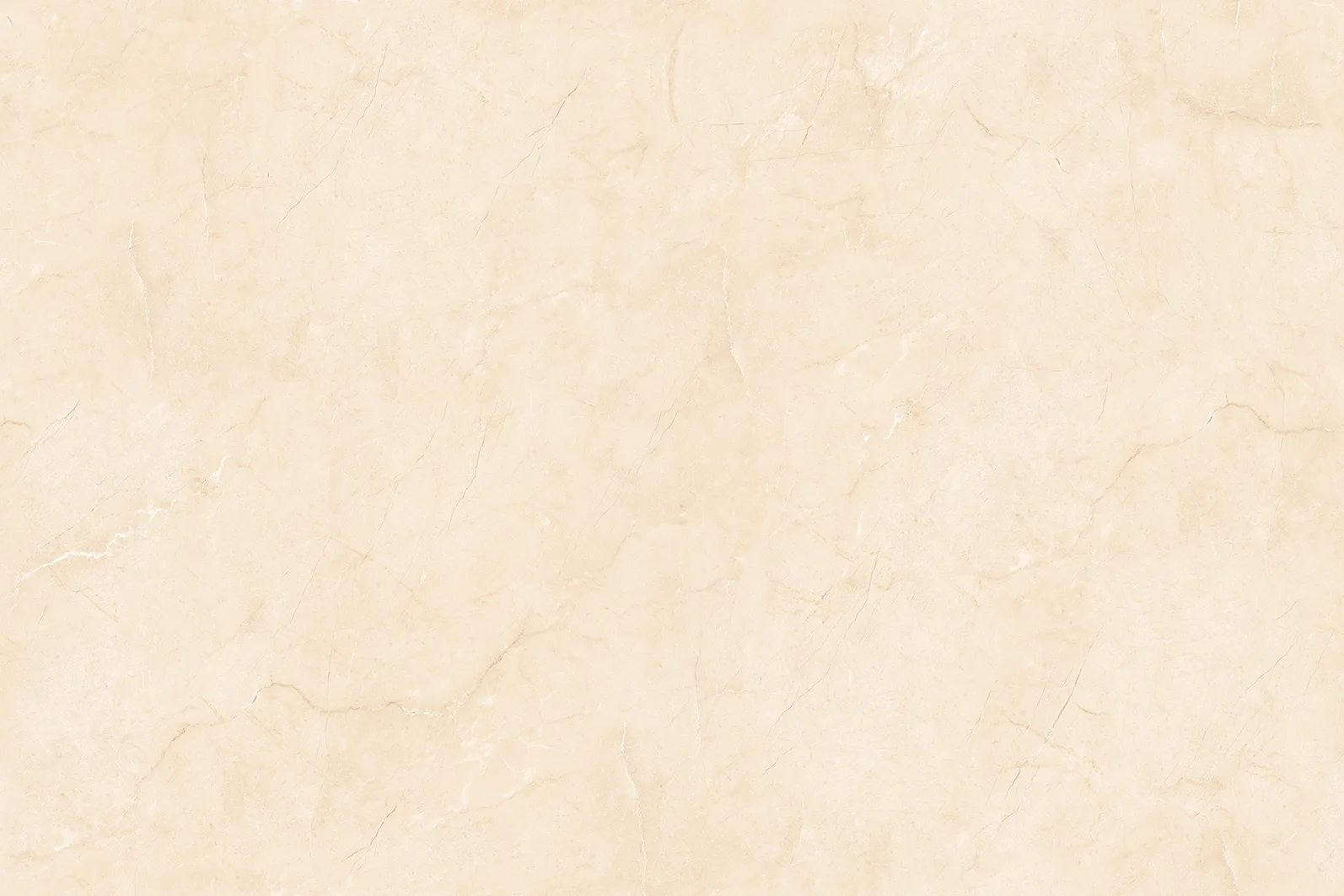 BELGIAN CREMA Design