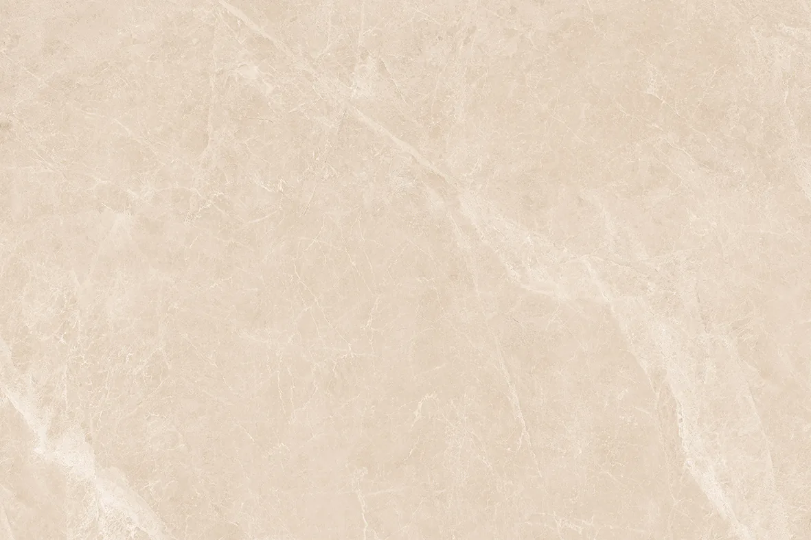 BERLINE CAMEL Design