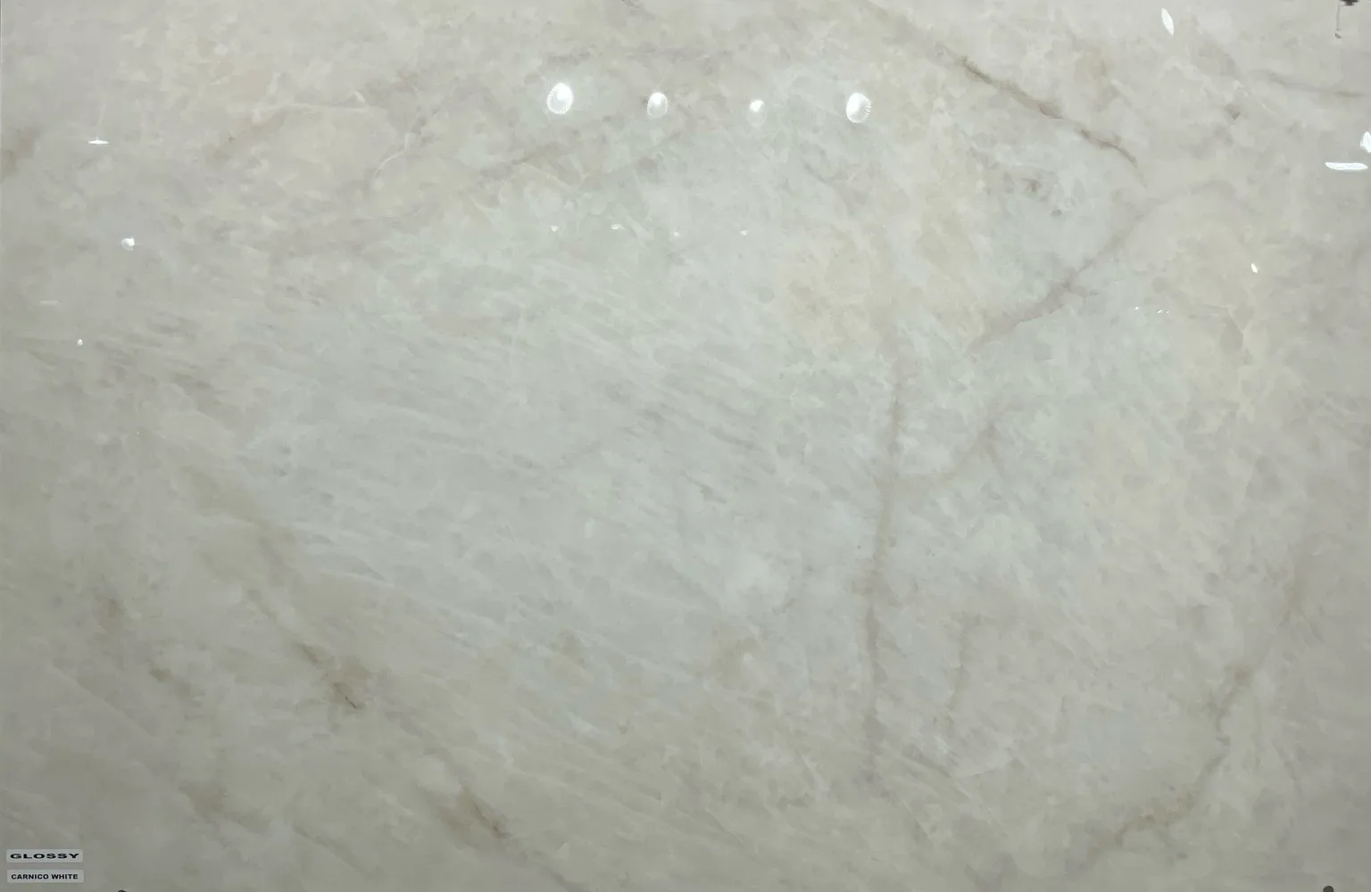 CARNICO WHITE In a room