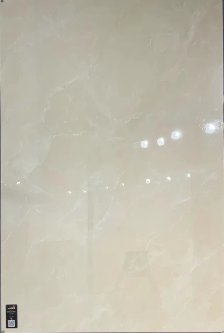 ENCILLIA BEIGE In a room