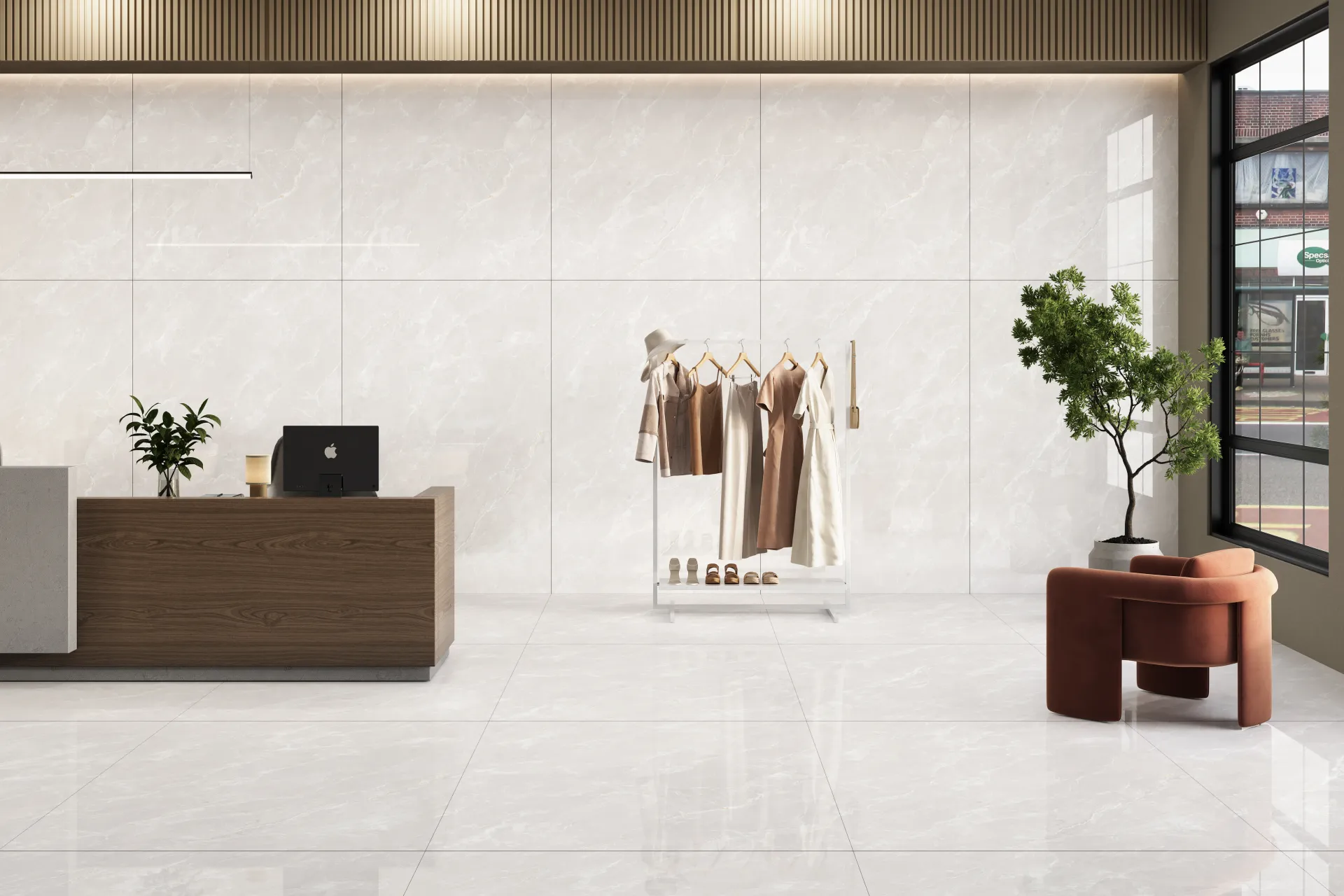 ENCILLIA BIANCO Preview