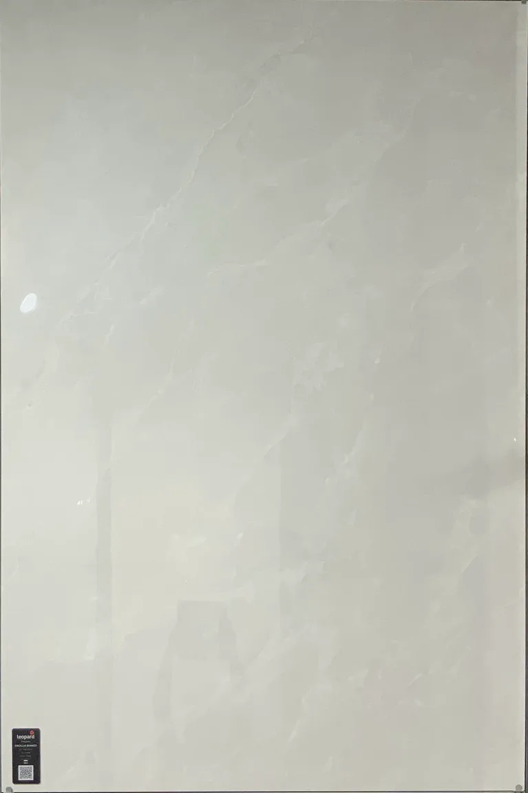 ENCILLIA BIANCO In a room