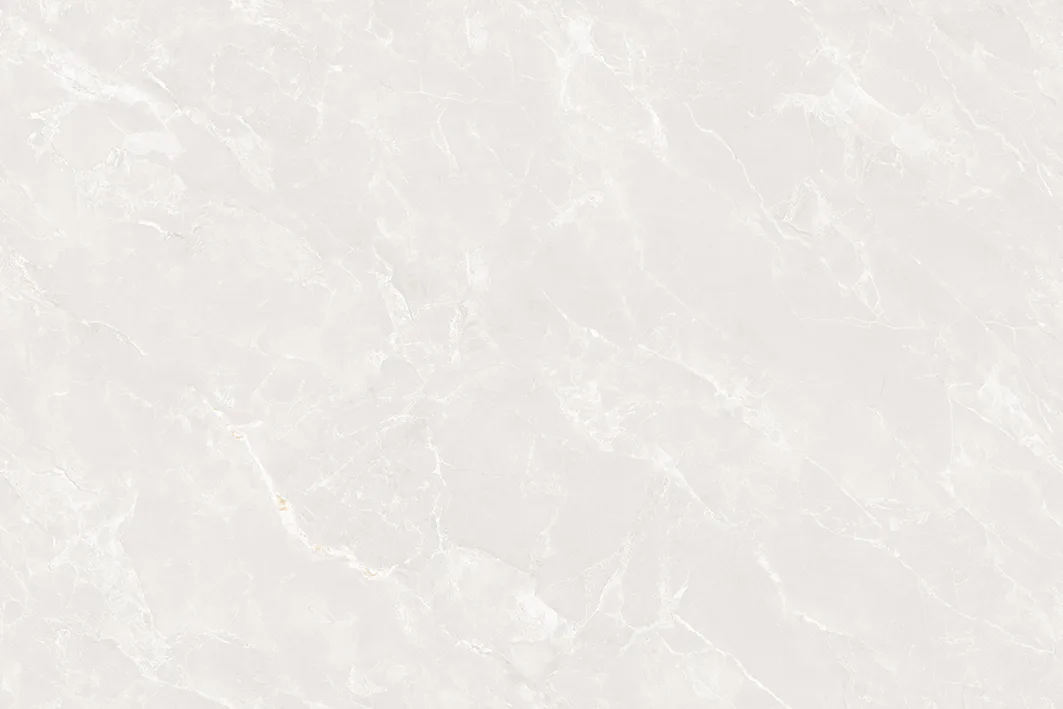 ENCILLIA BIANCO Design