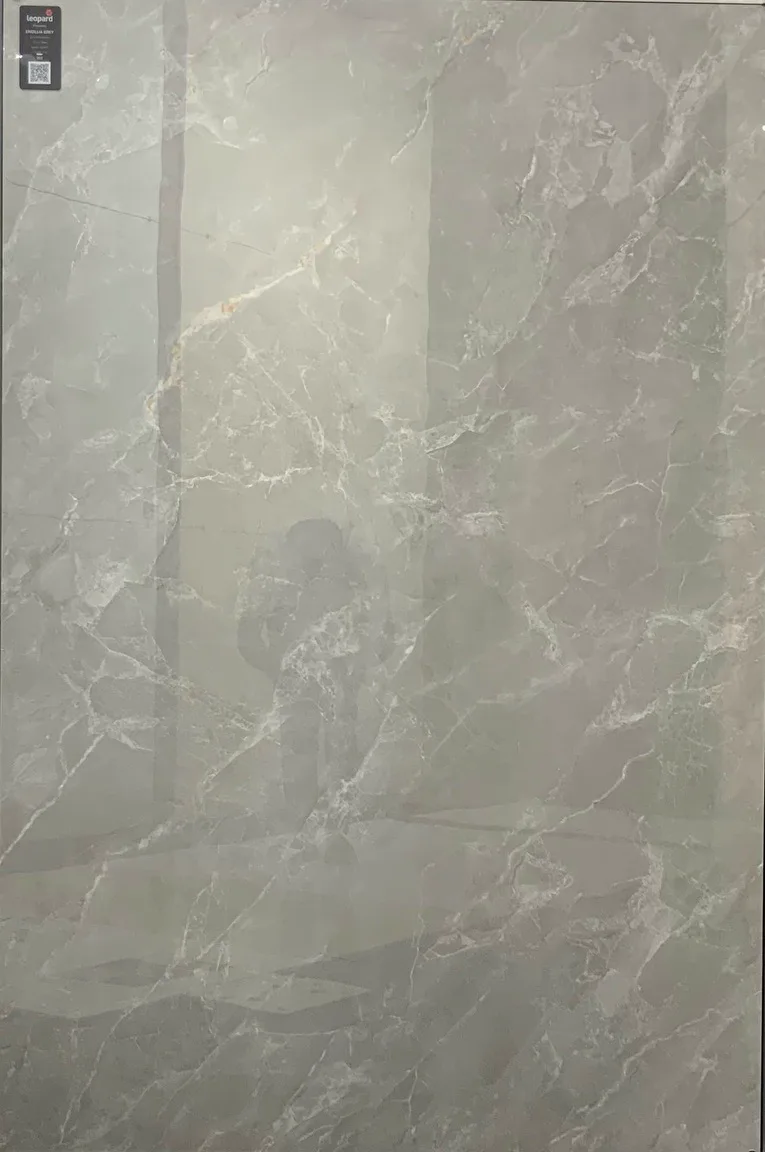 ENCILLIA GREY In a room