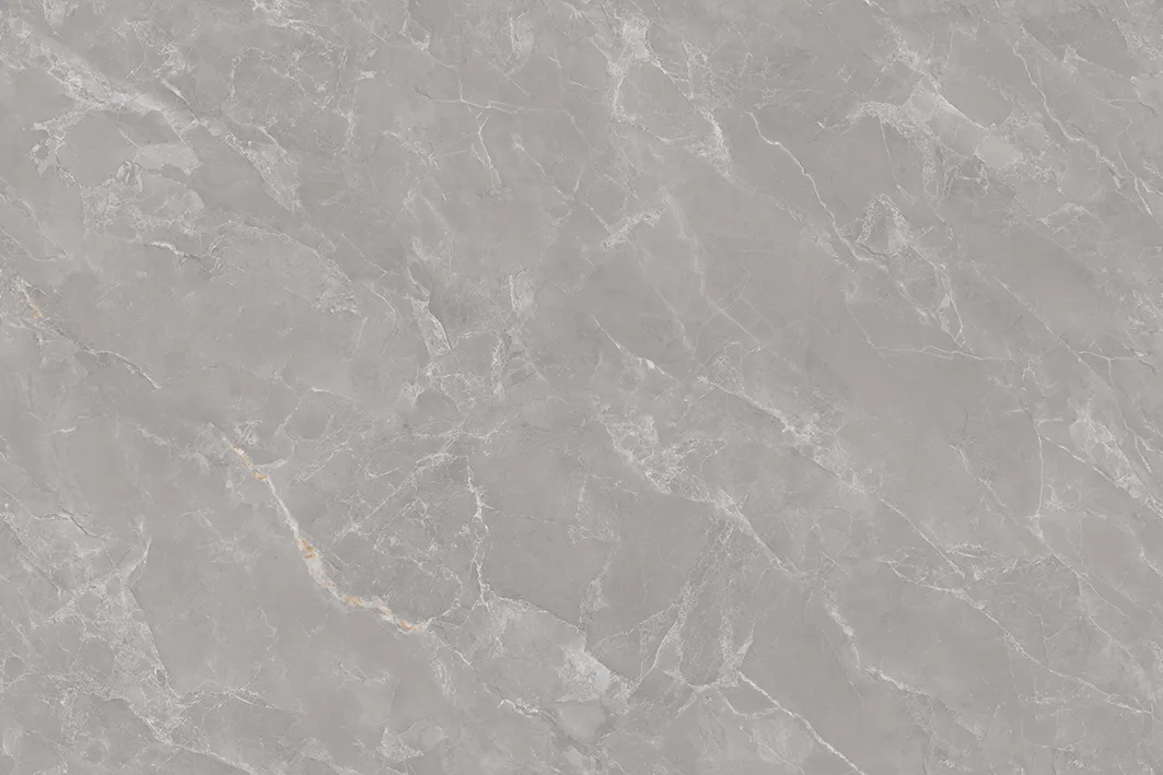 ENCILLIA GREY Design