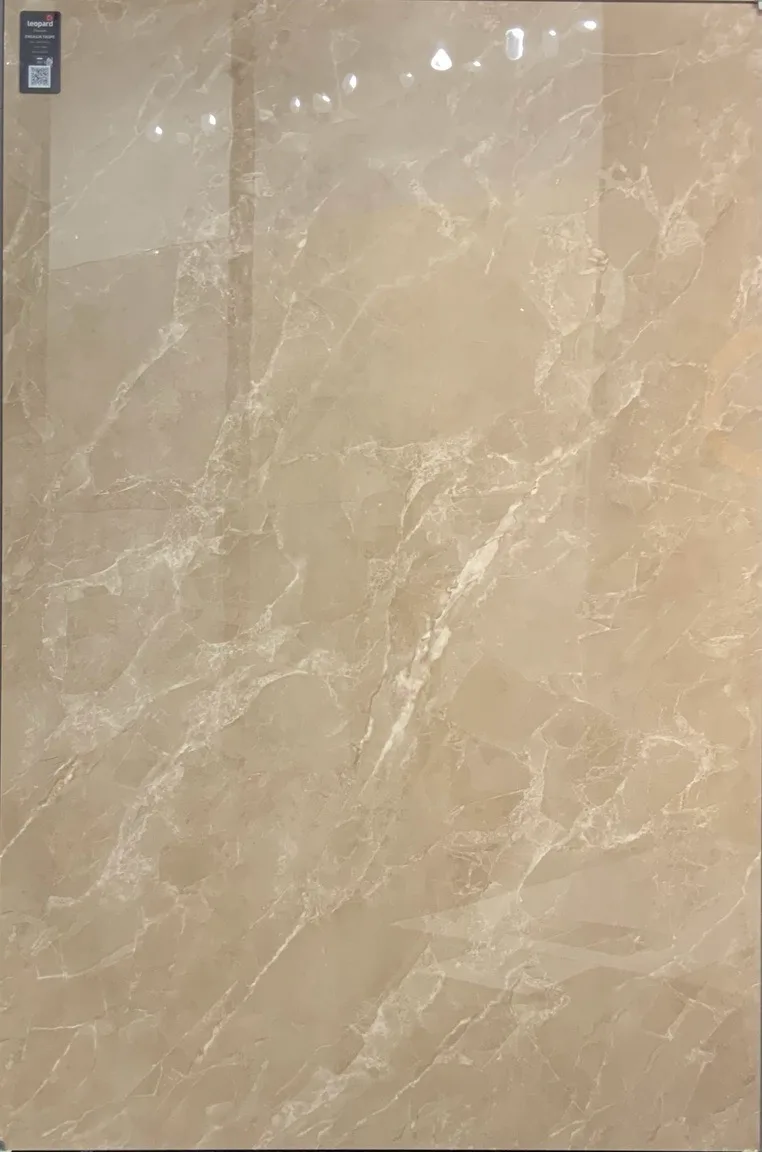 ENCILLIA TAUPE In a room
