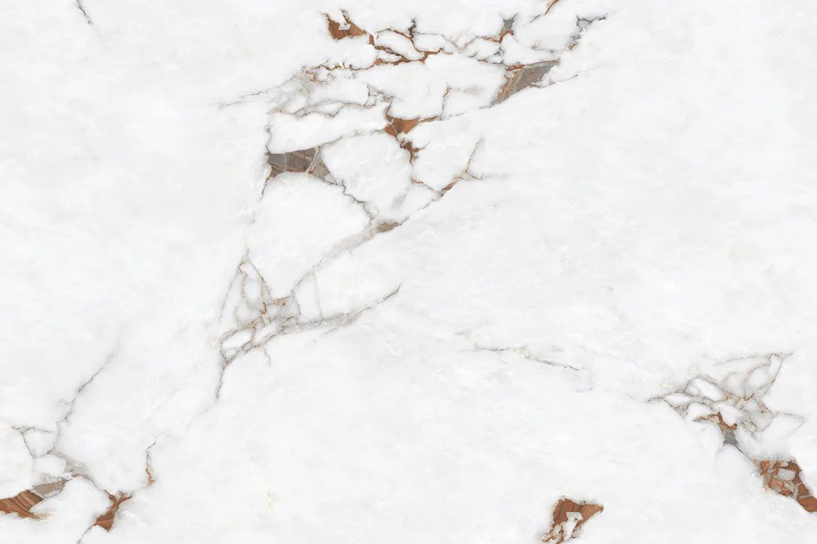 FROZEN WHITE Design