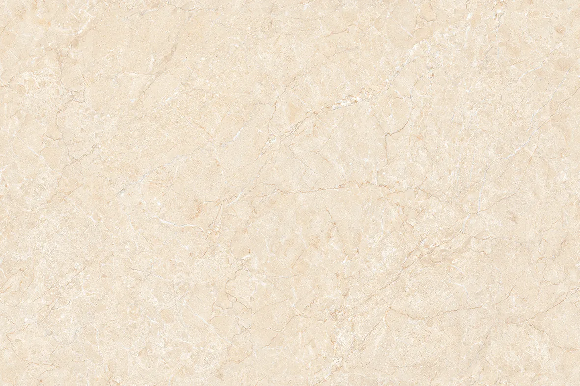 LISA BEIGE Design