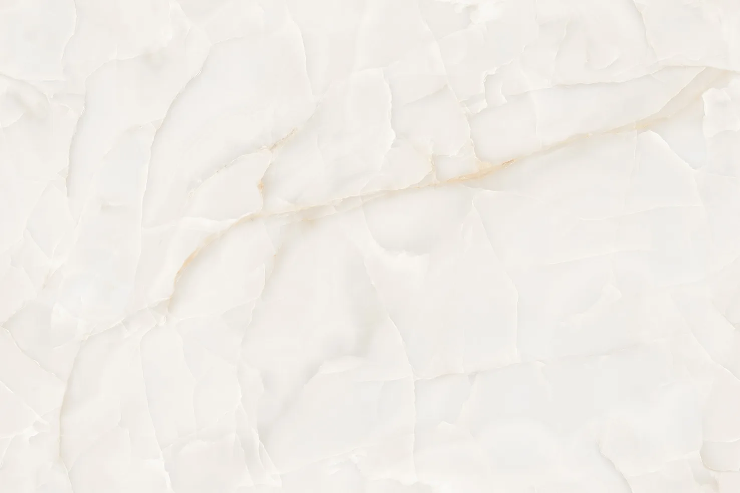 OYSTER ONYX CREMA Design