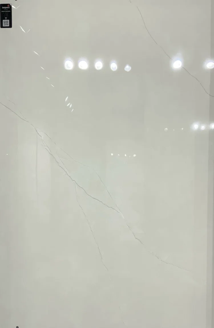 REGATO BIANCO In a room