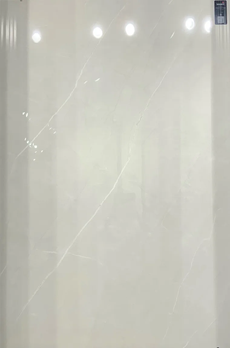 ROYAL ARMANI SILVER In a room