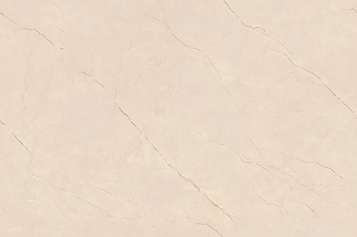 ROYAL BURBERRY CAMEL Design
