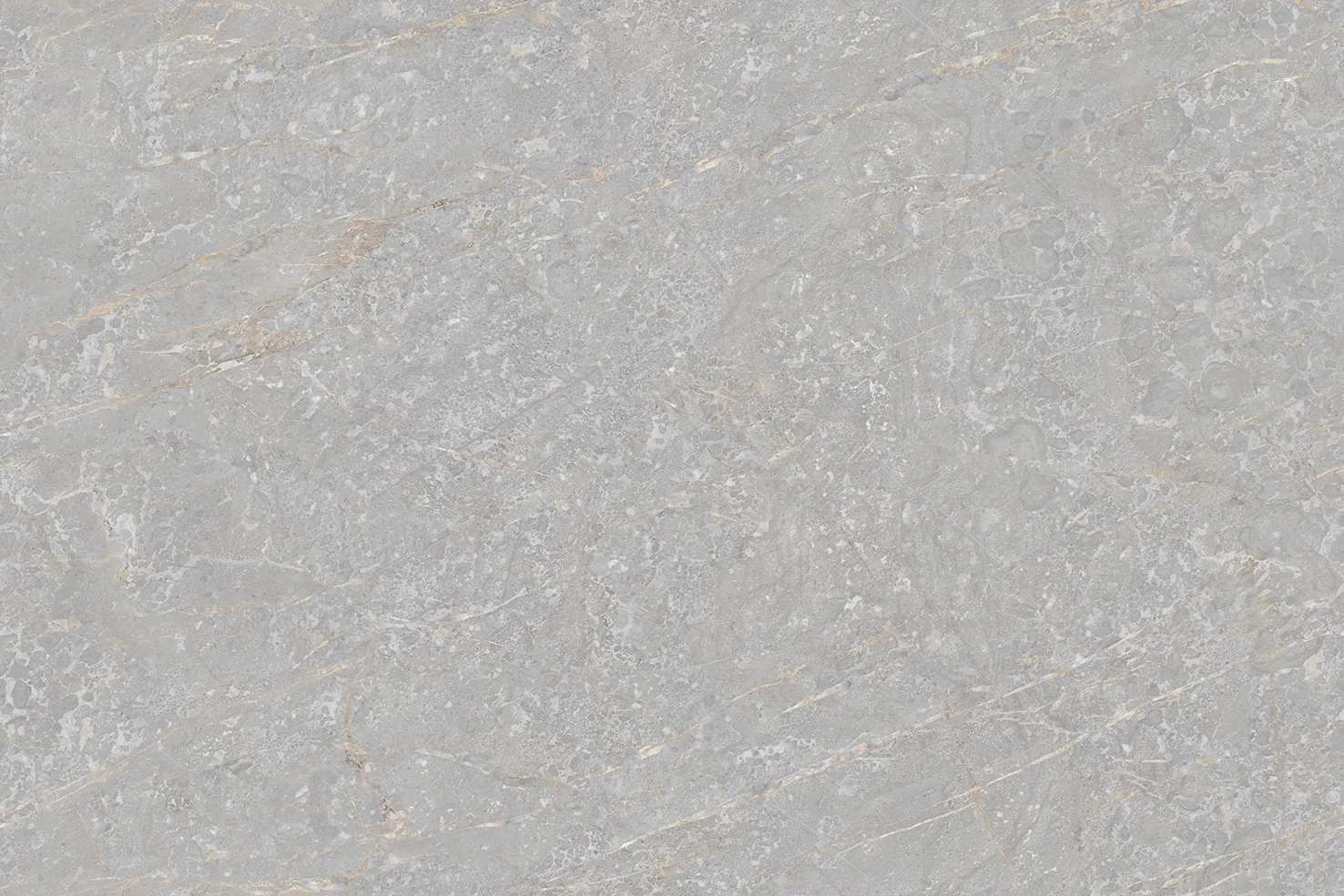 TECTIS GREY Design