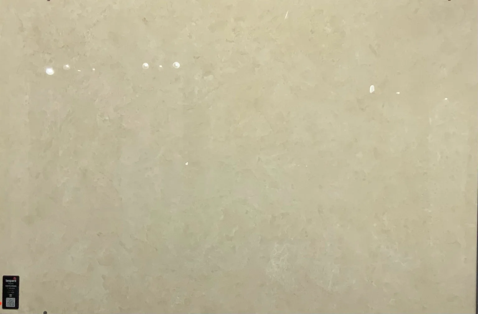TOKYO CREMA In a room