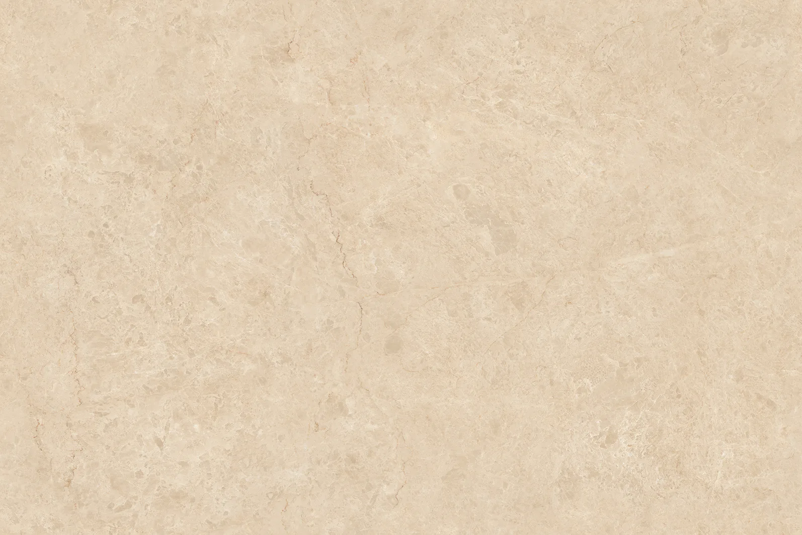 TOKYO CREMA Design