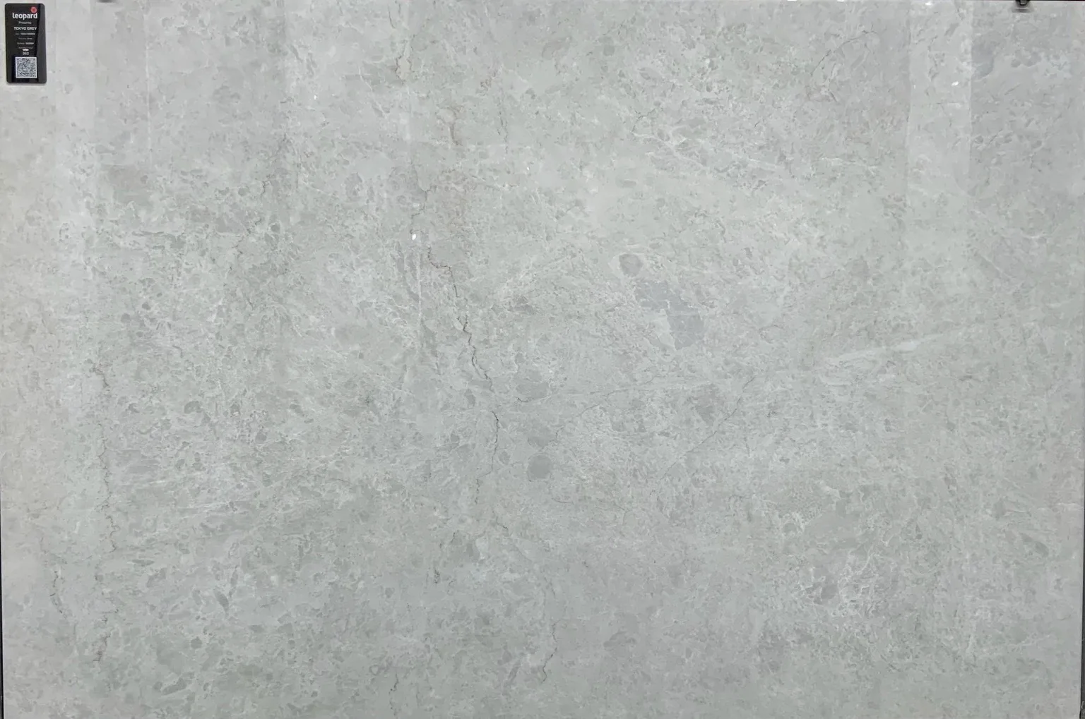 TOKYO GREY In a room