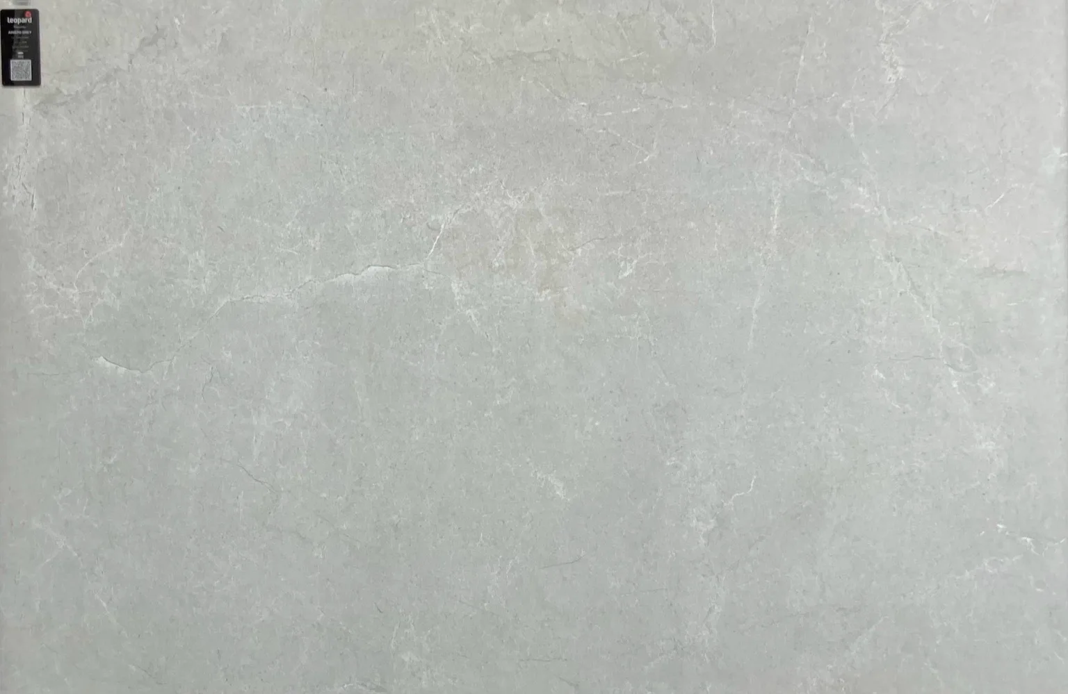 ARISTO GREY In a room