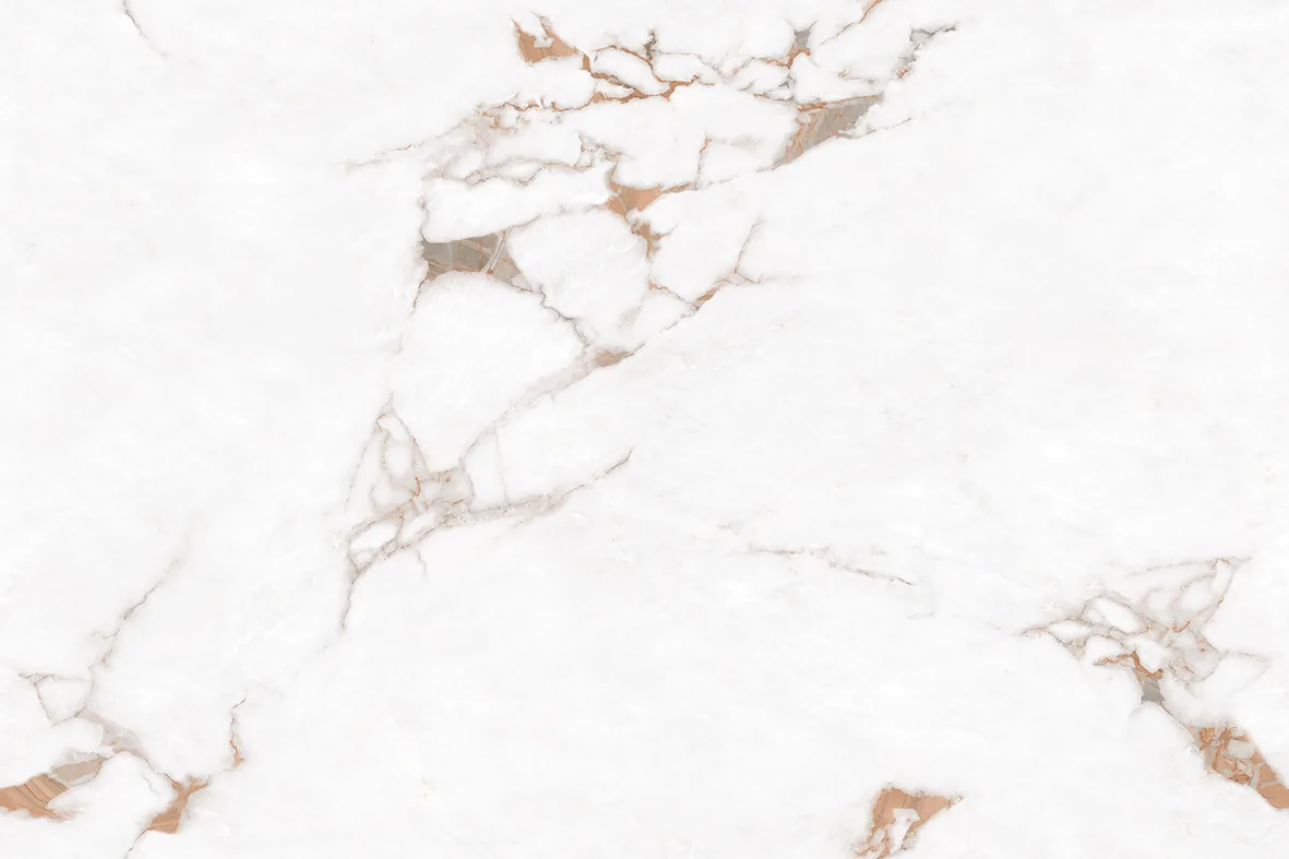 FROZEN WHITE Design