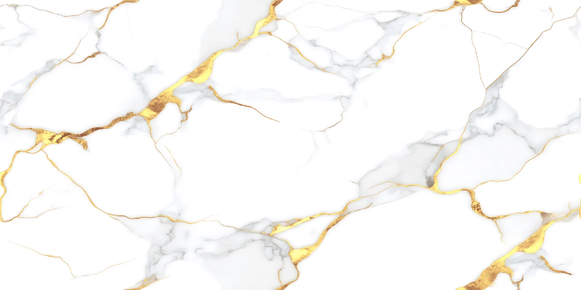 IC LEXILO GOLD Design