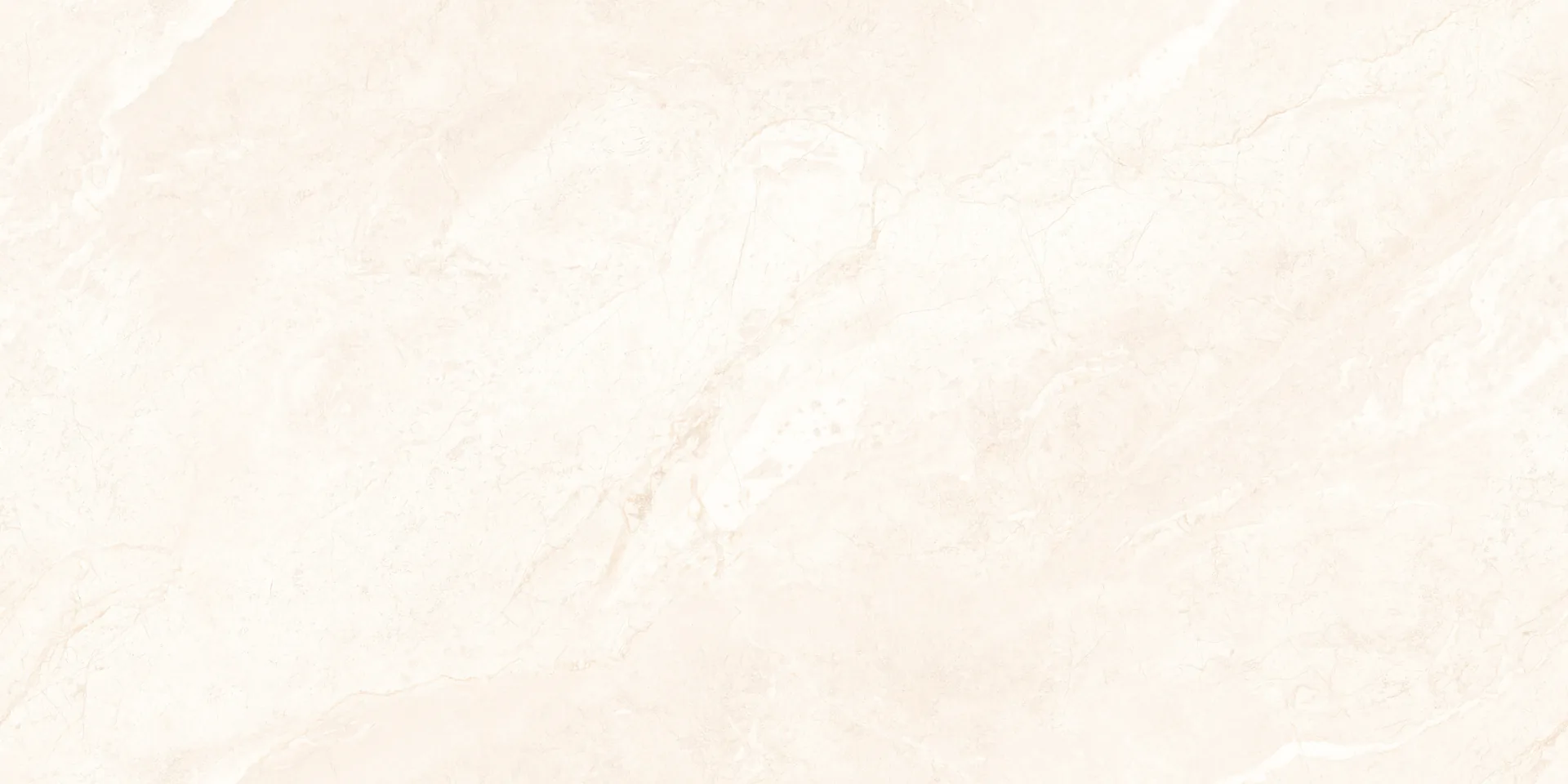 EMR DRAGONI BIANCO Design
