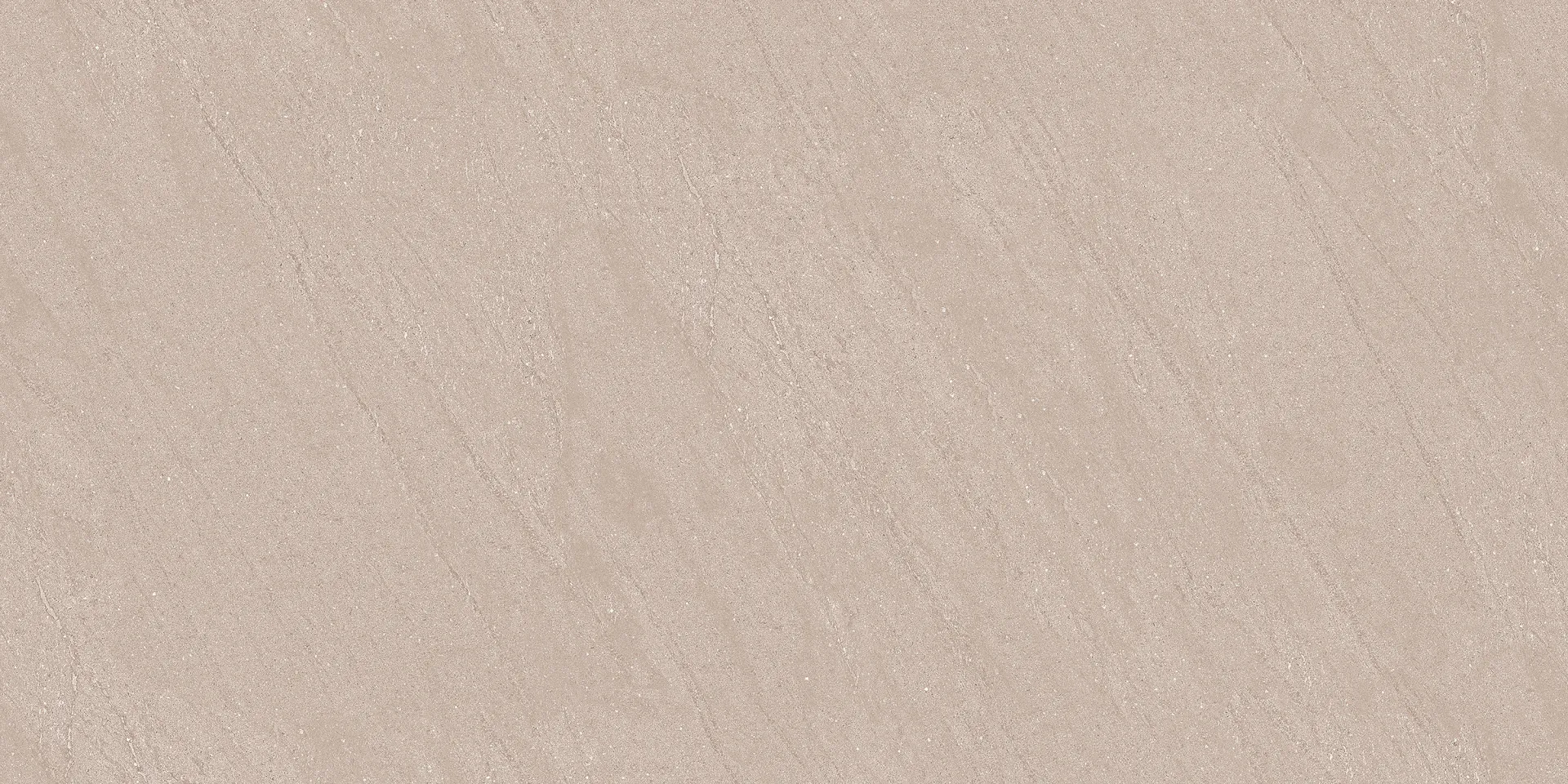 EMR OAKLAND BROWN Design