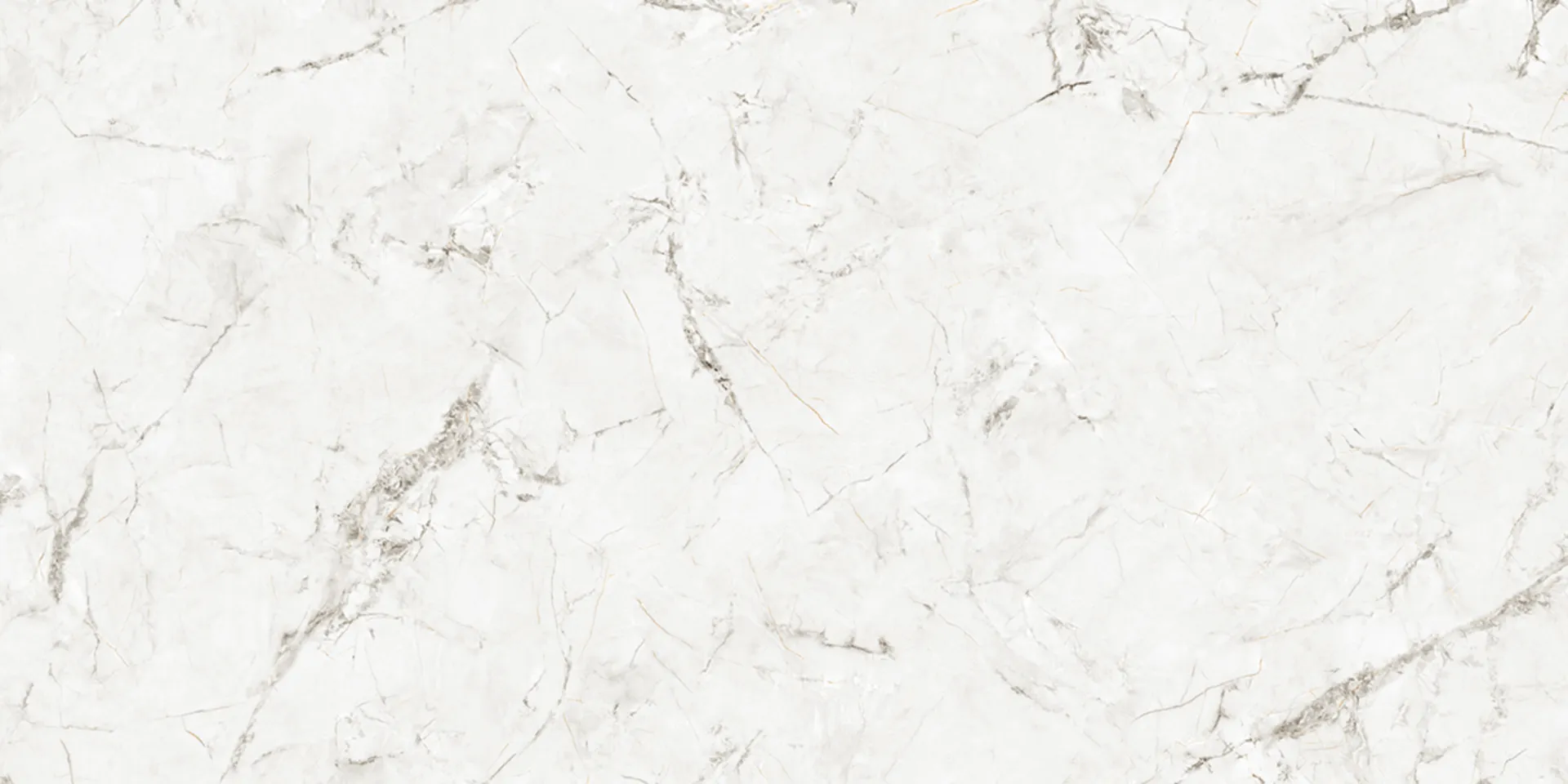 6448 Design
