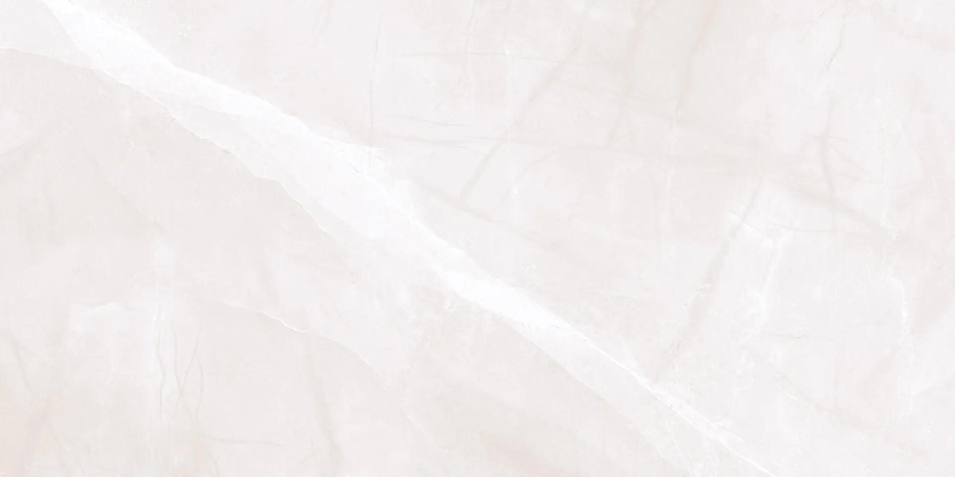 6449 Design