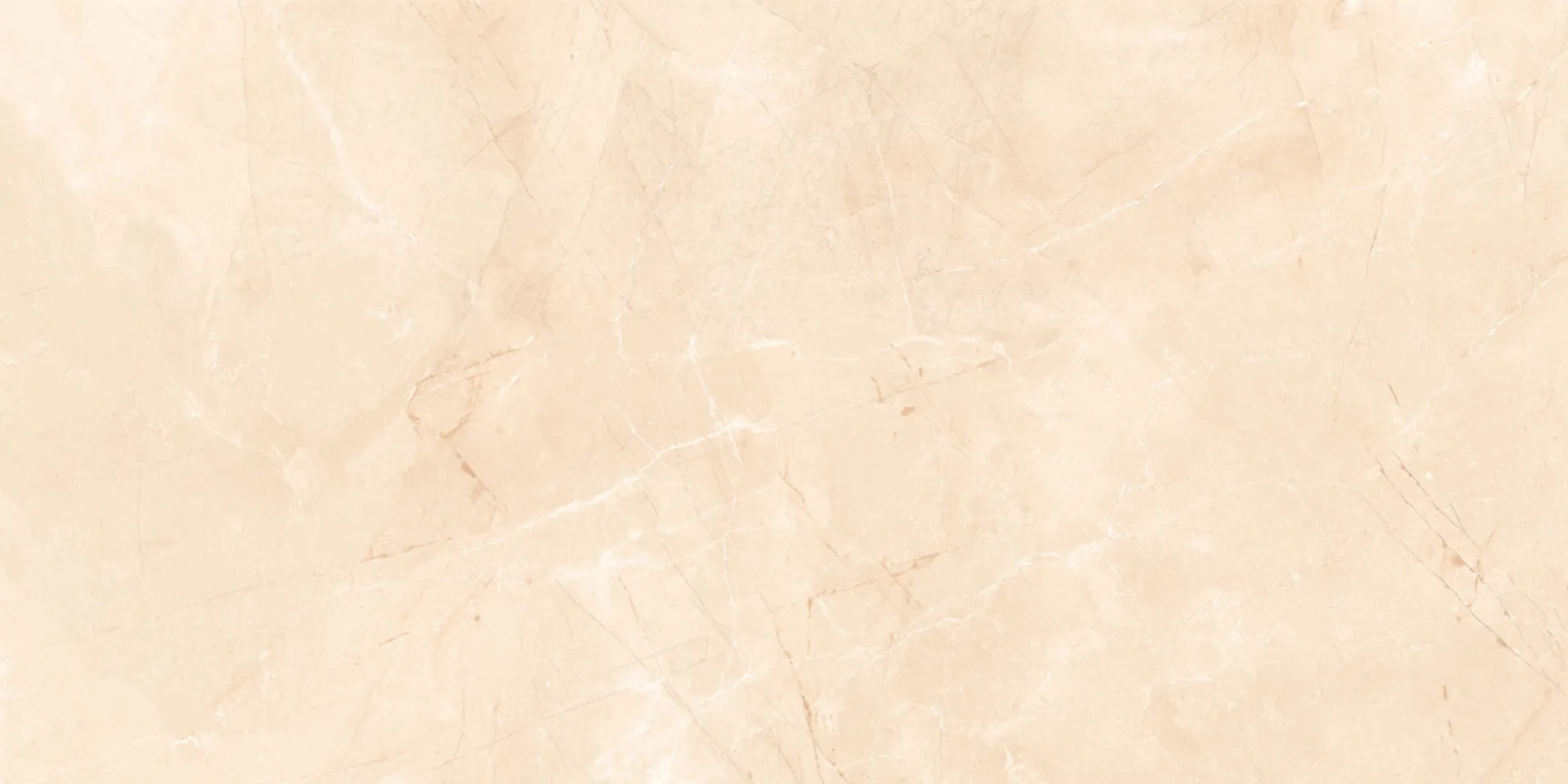 6455 Design