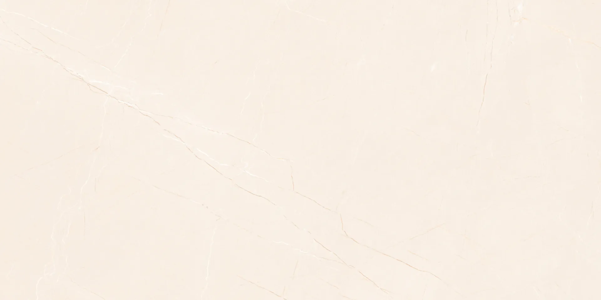 6463 Design