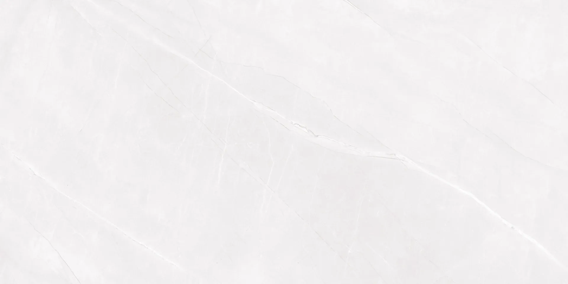 6466 Design
