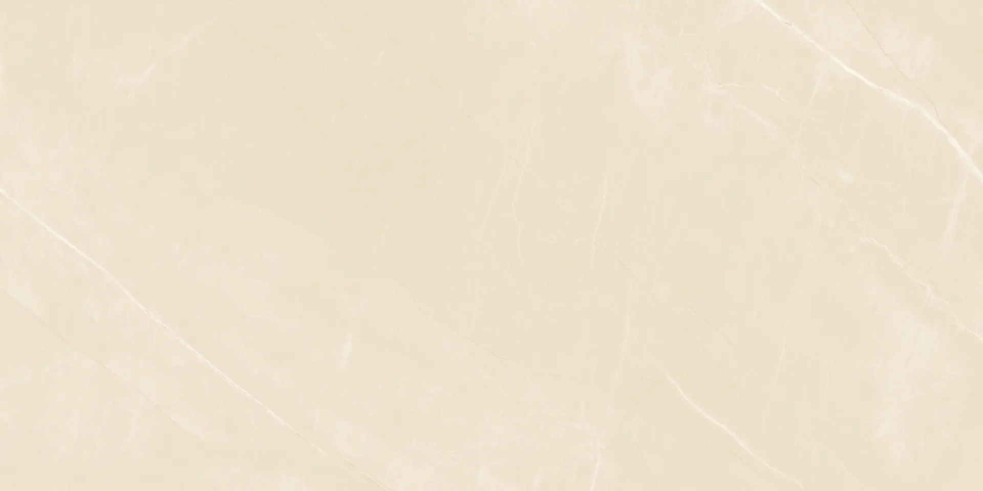 6519 Design