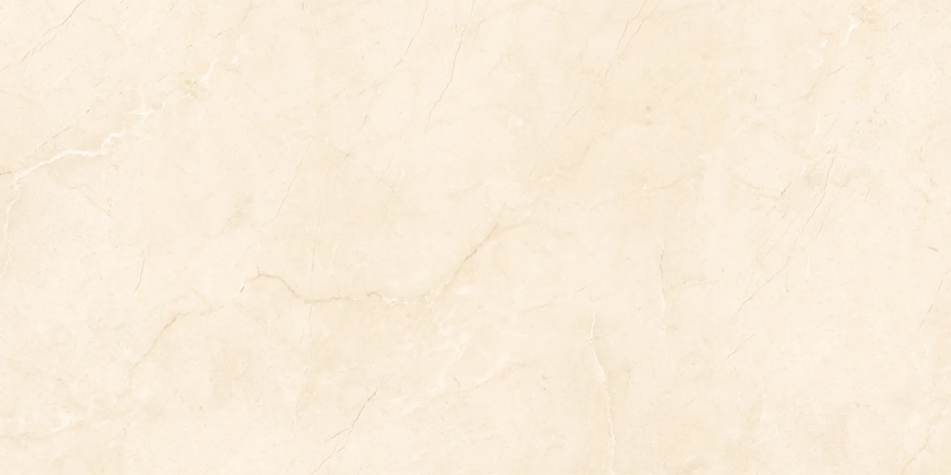 6521 Design