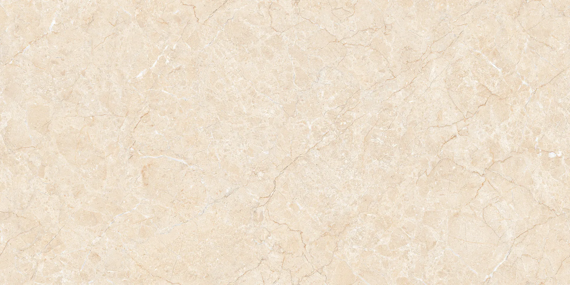 IC 16099 (LISA BEIGE) Design