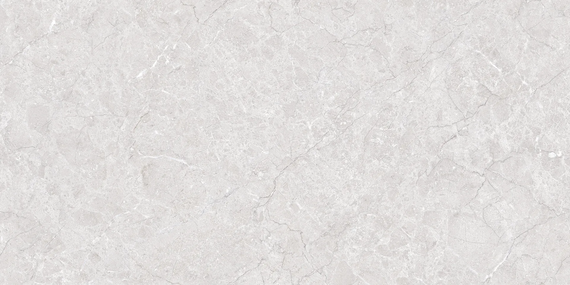 IC 16101 LISA SILVER Design