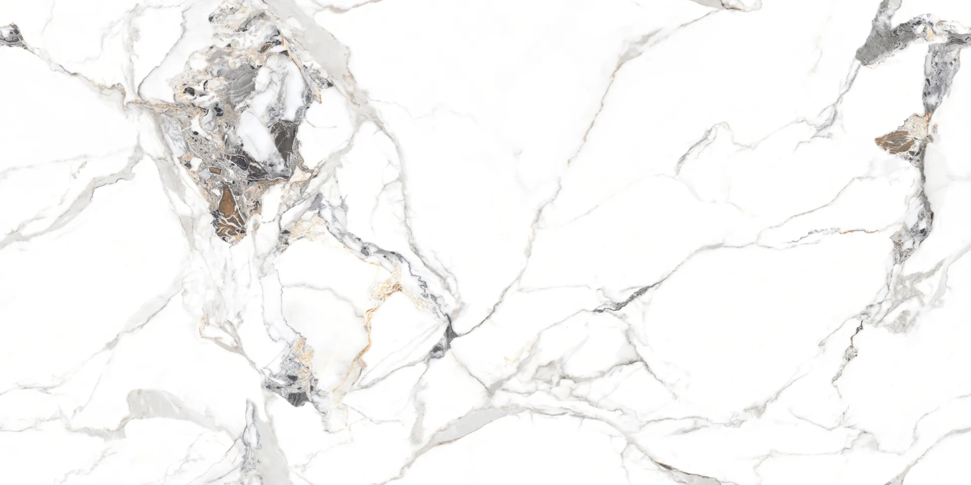 IC CELEBRA-WHITE Design