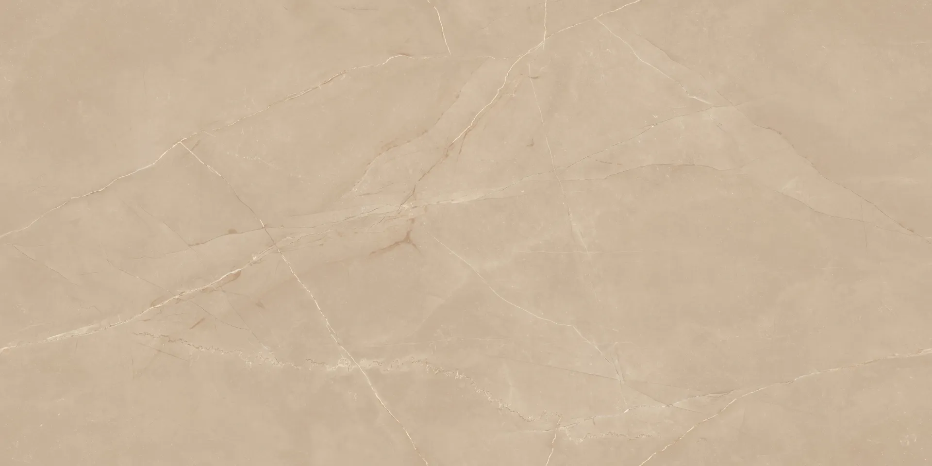 IC OMINI BROWN Design