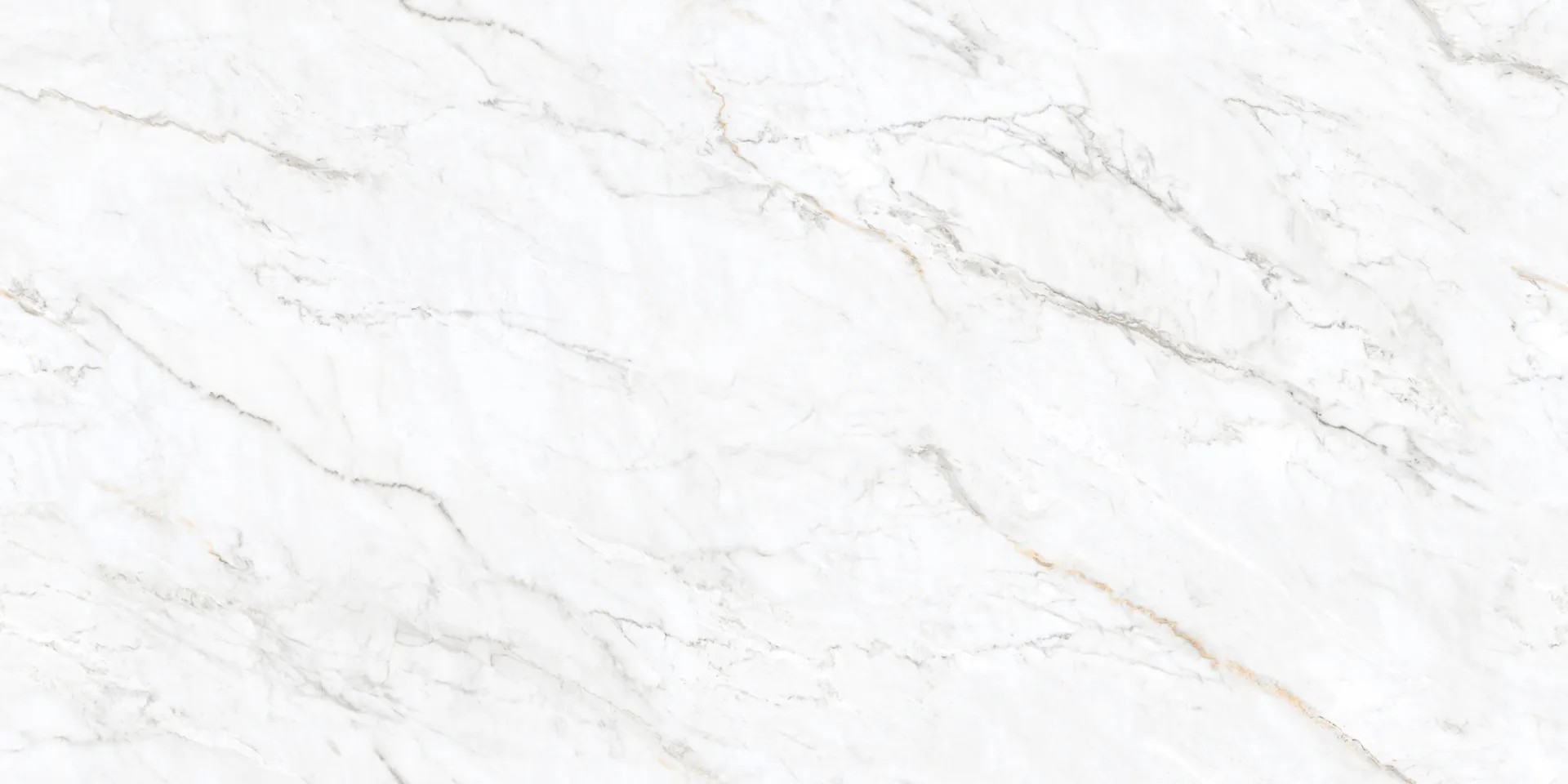 DG ARDEN WHITE Design