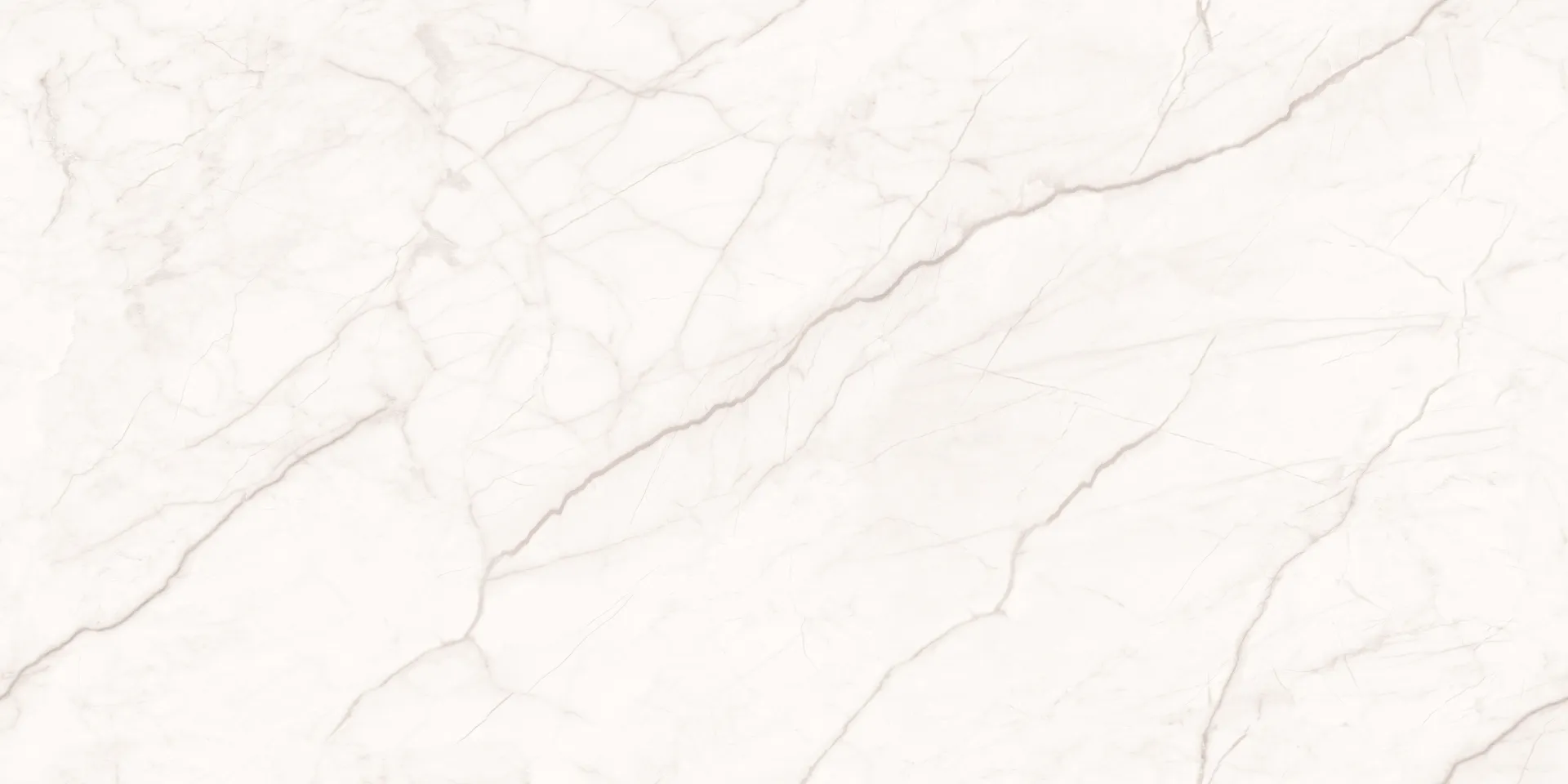DG COLISEO WHITE Design