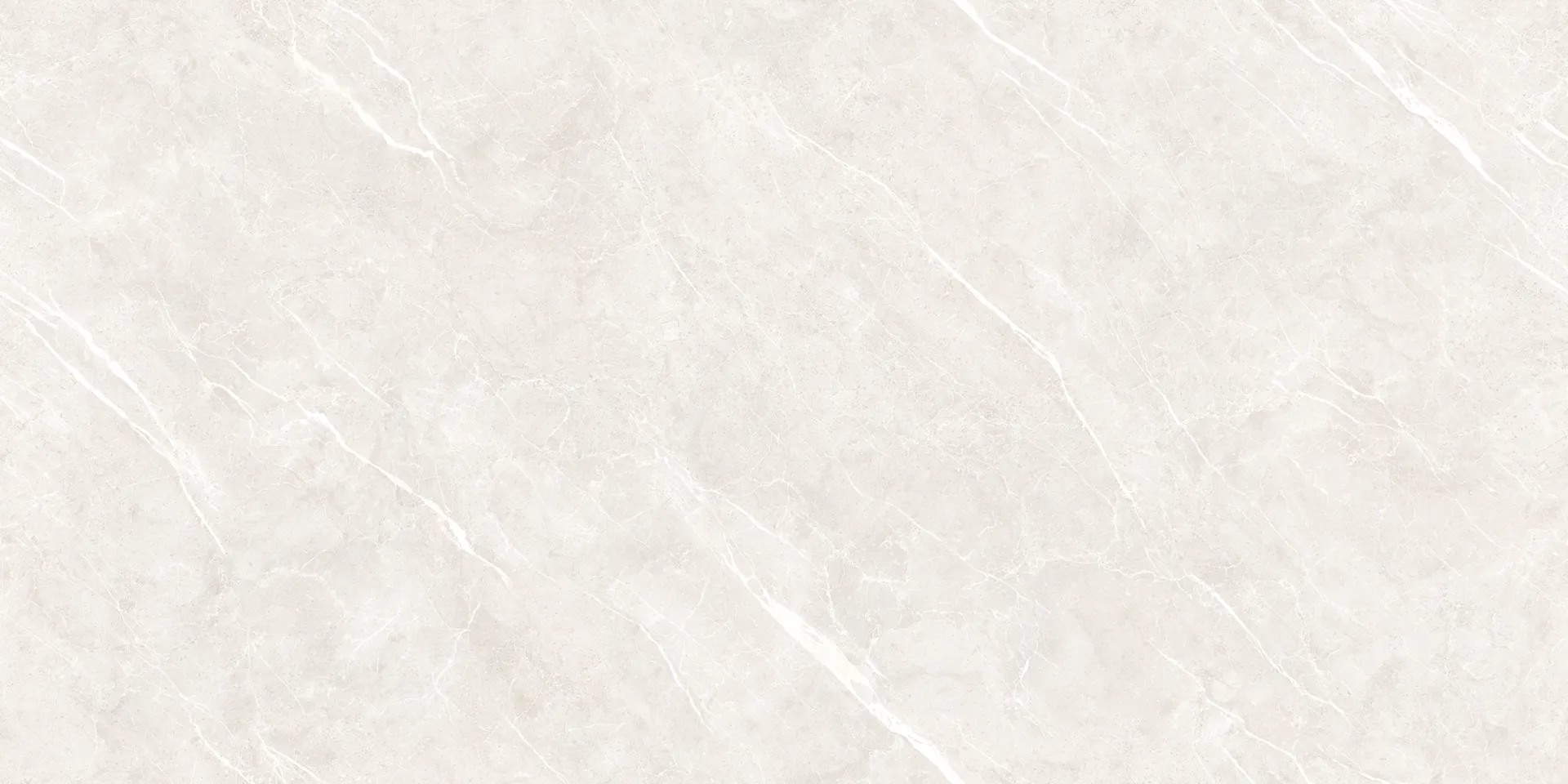 DG DION BIANCO Design