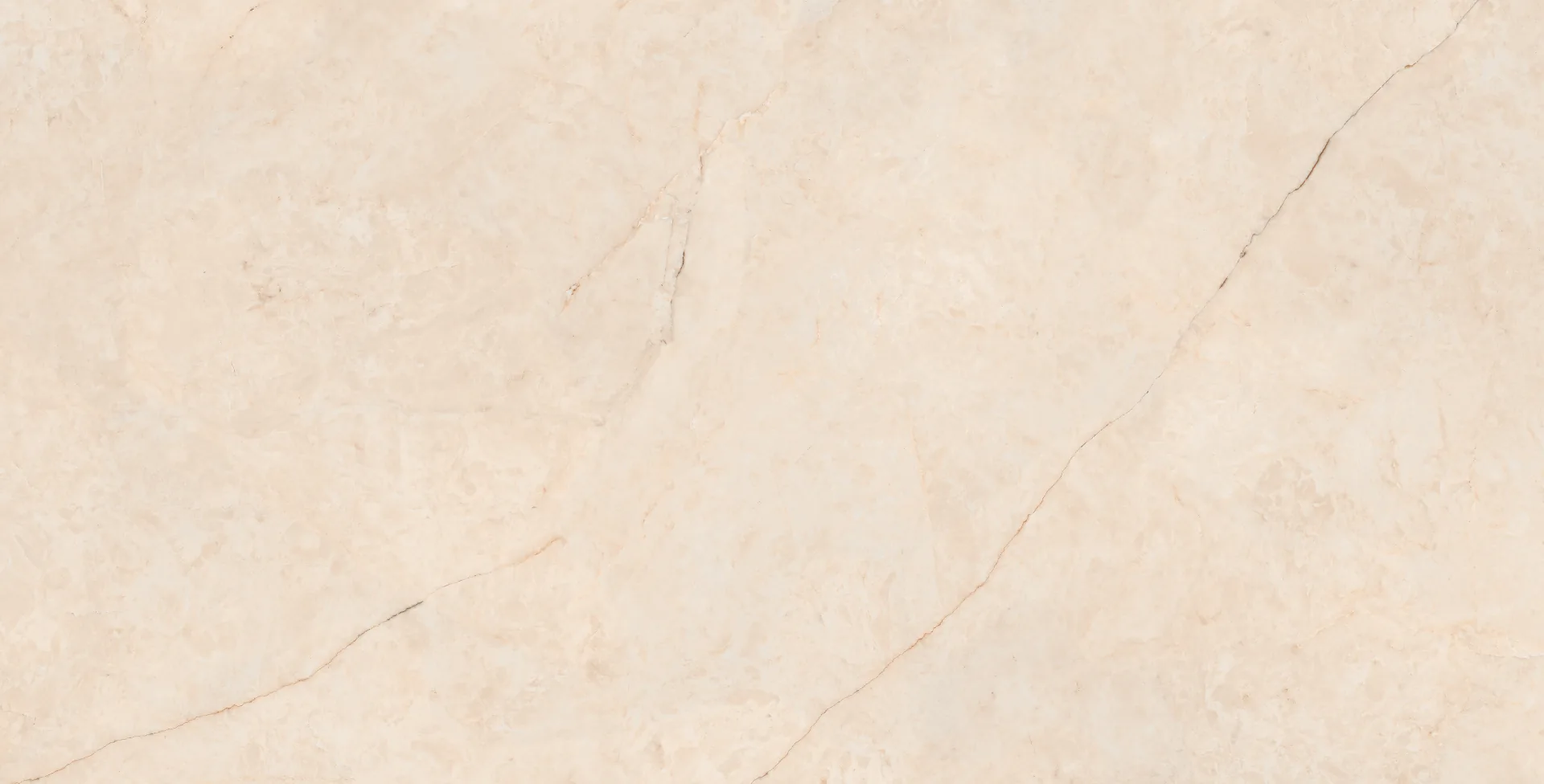 ALEXA CREMA Design