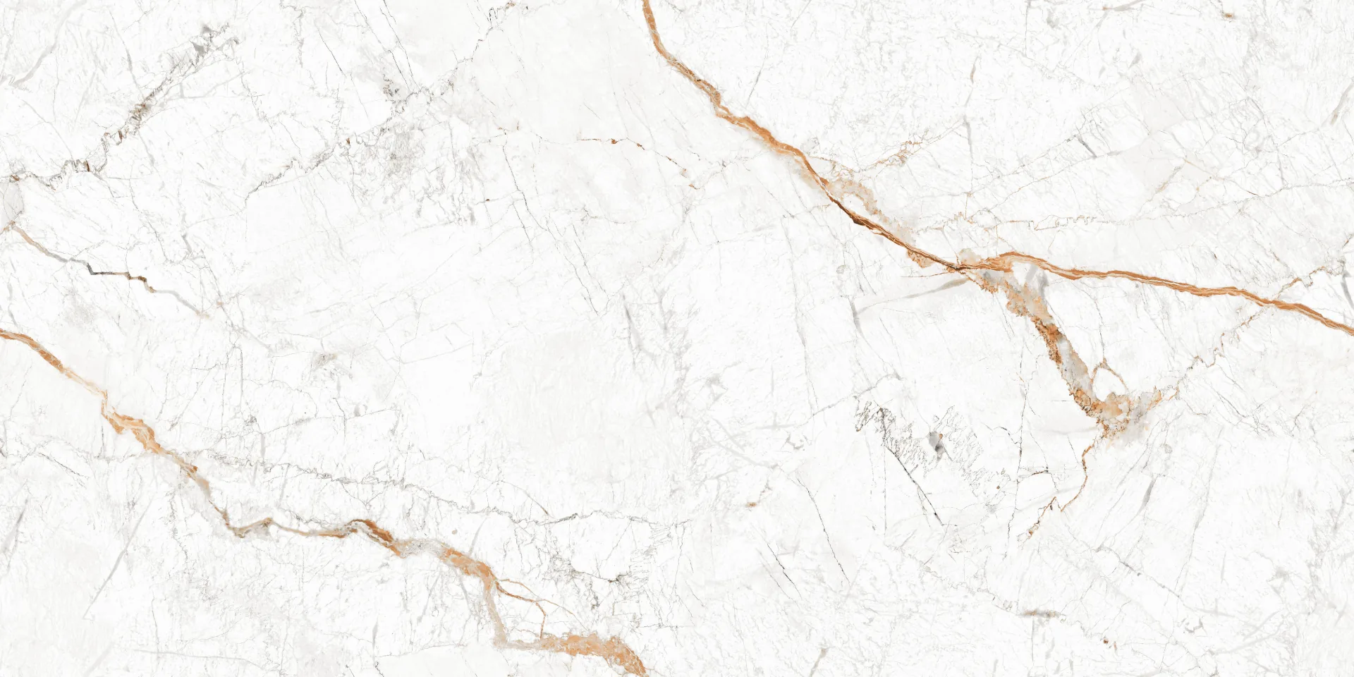 MAXIMUS WHITE Design