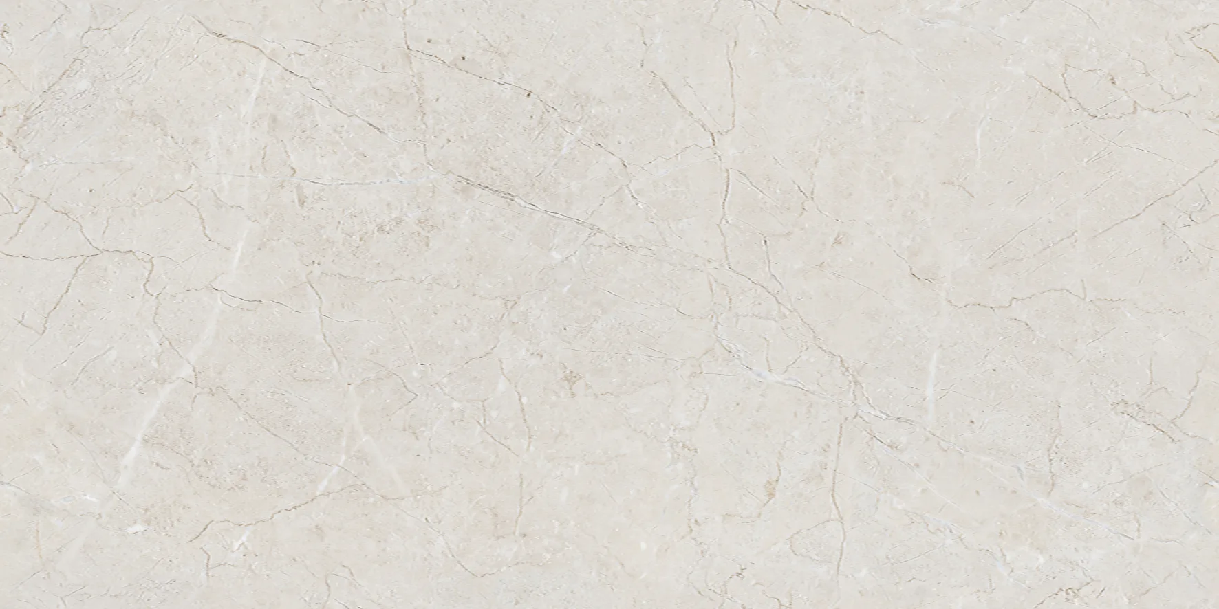 ALGARIA OYSTER Design