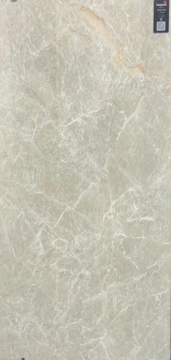 ANTICO TAN In a room