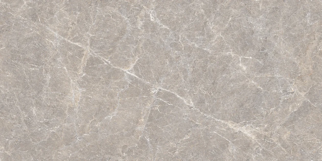 ARDOUR ASH Design